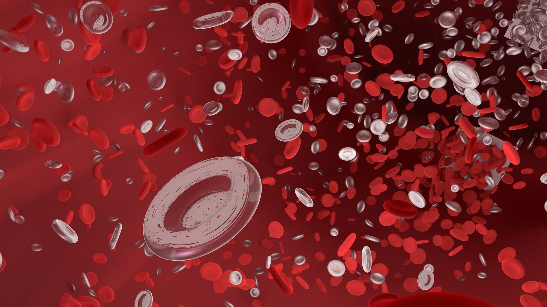 red-blood-cell-